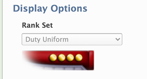 Display Options