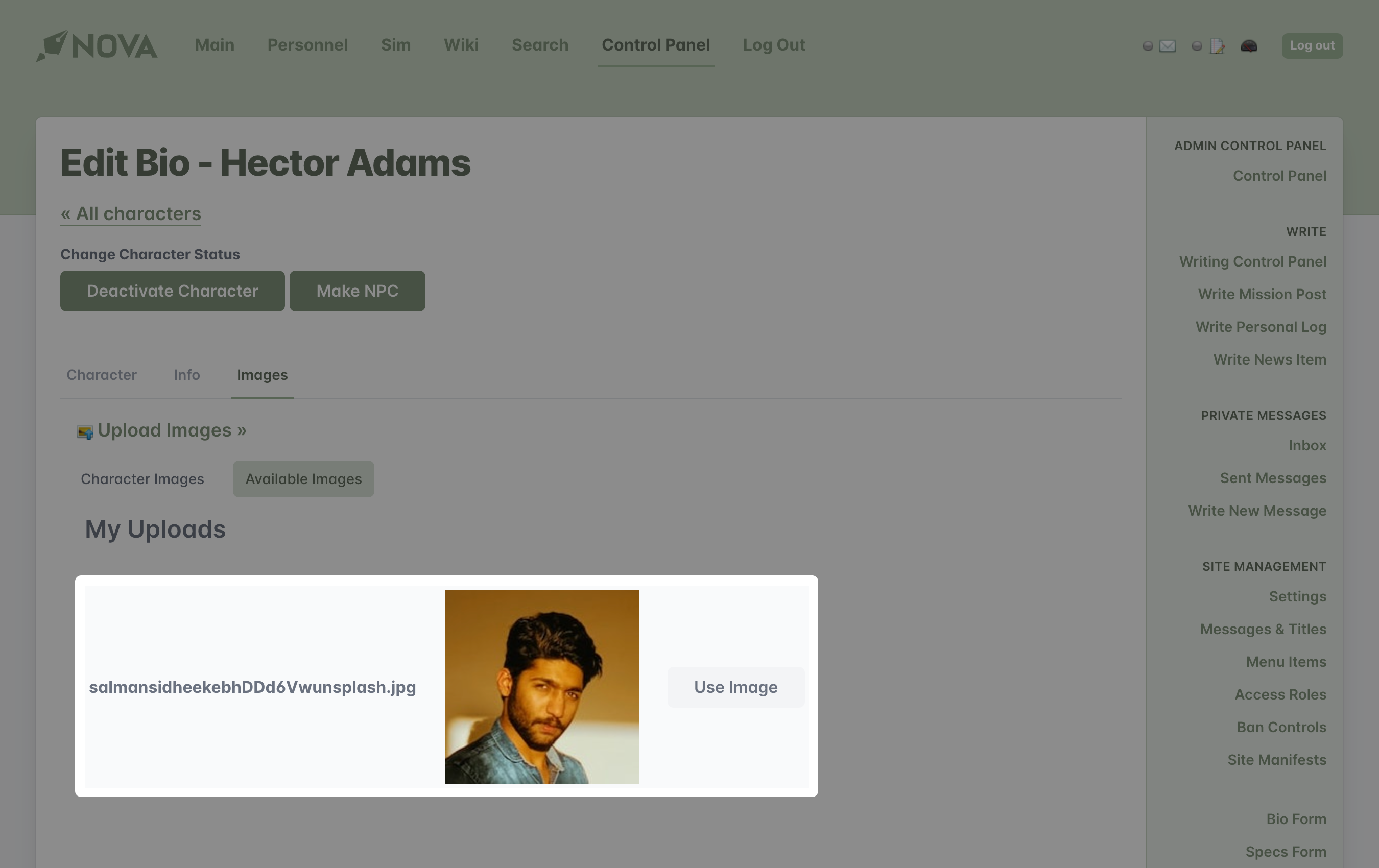 use uploaded character images